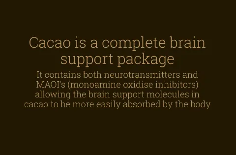 cacao-slider-07-2