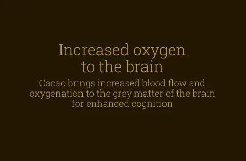 cacao-slider-08