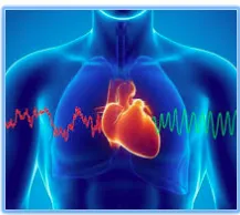 Unlocking the Heart’s Wisdom: A Comprehensive Exploration of the HeartMath Institute