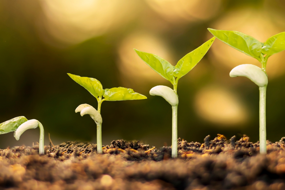 Transforming Overwhelm Workshop Perth